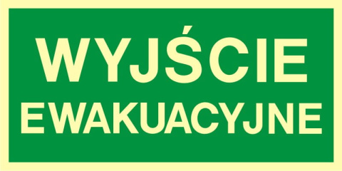 ZNAK EWAKUACYJNY - WYJŚCIE EWAKUACYJNE - AA 001 CE PS